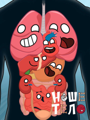 Наше тело