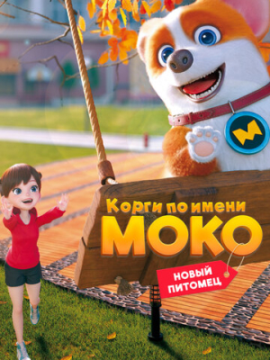 Корги по имени Моко. Новый питомец